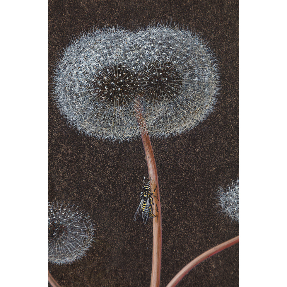 ローラン・グラッソ / LAURENT GRASSO:Future Herbarium