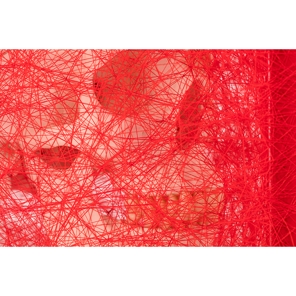 <a href="https://ueshima-collection.com/en/artist-list/90" style="color:inherit">CHIHARU SHIOTA</a>:存在様態 (髑髏) / State of Being (Skull)