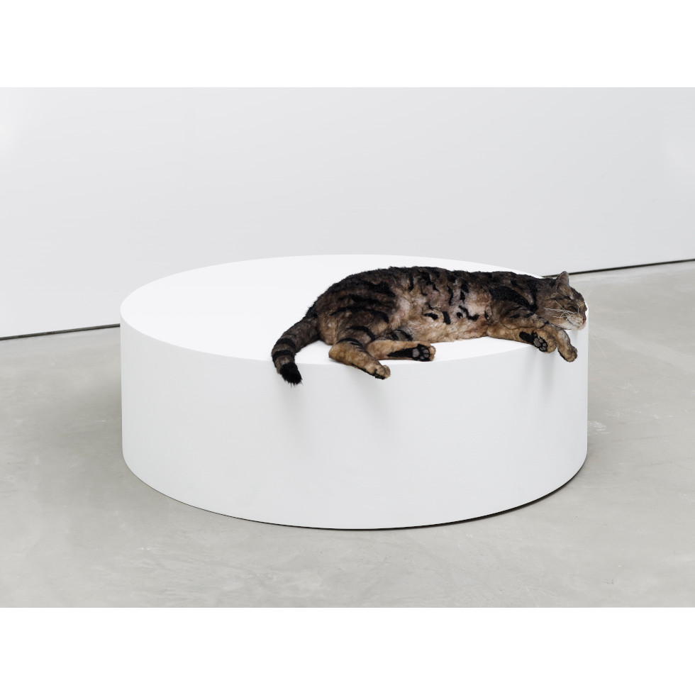 <a href="https://ueshima-collection.com/artist-list/113" style="color:inherit">RYAN GANDER</a>:Sowing confusion amongst the titles, or The squatters (Tiger meet Hiller’s Lucidity & Intuition: Homage to Gertrude Stein (2011))