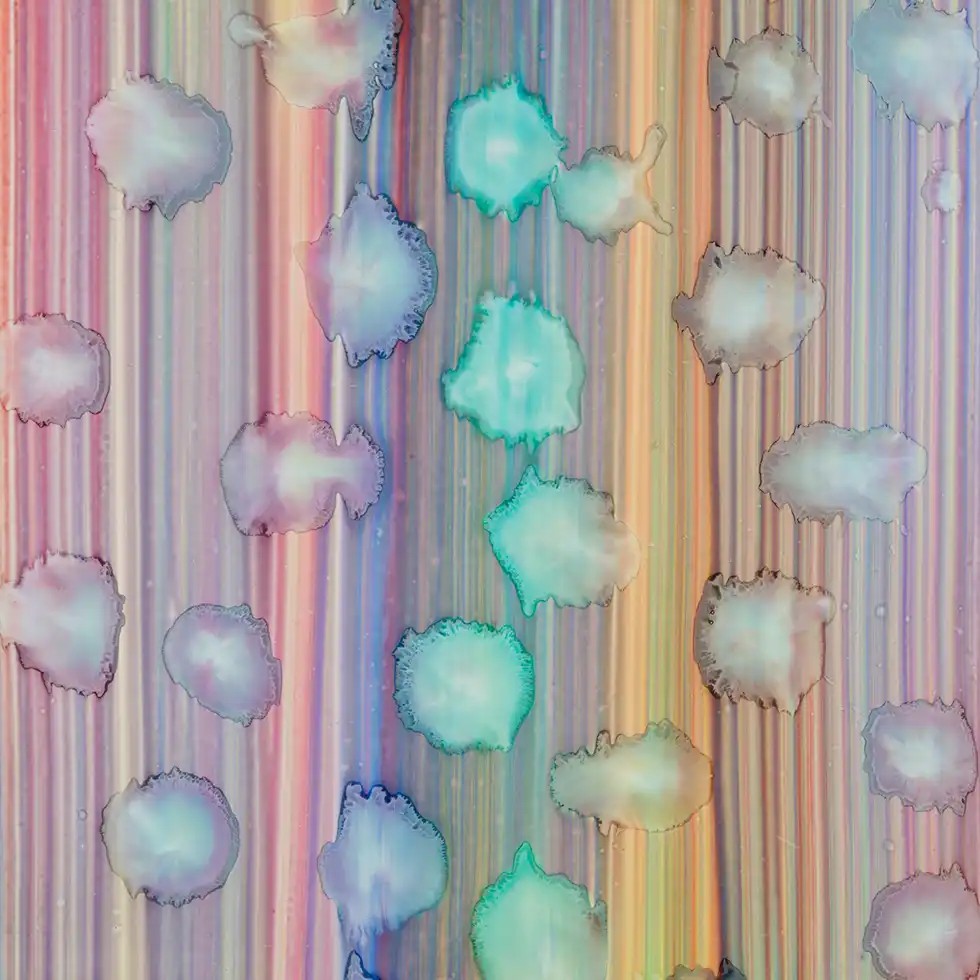 ベルナール・フリズの作品「Bitje」